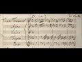 Vivaldi  concerto rv 107 in g minor  original manuscript