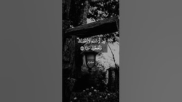 تلاوة مباركة للقارئ أنس الميمان #quran