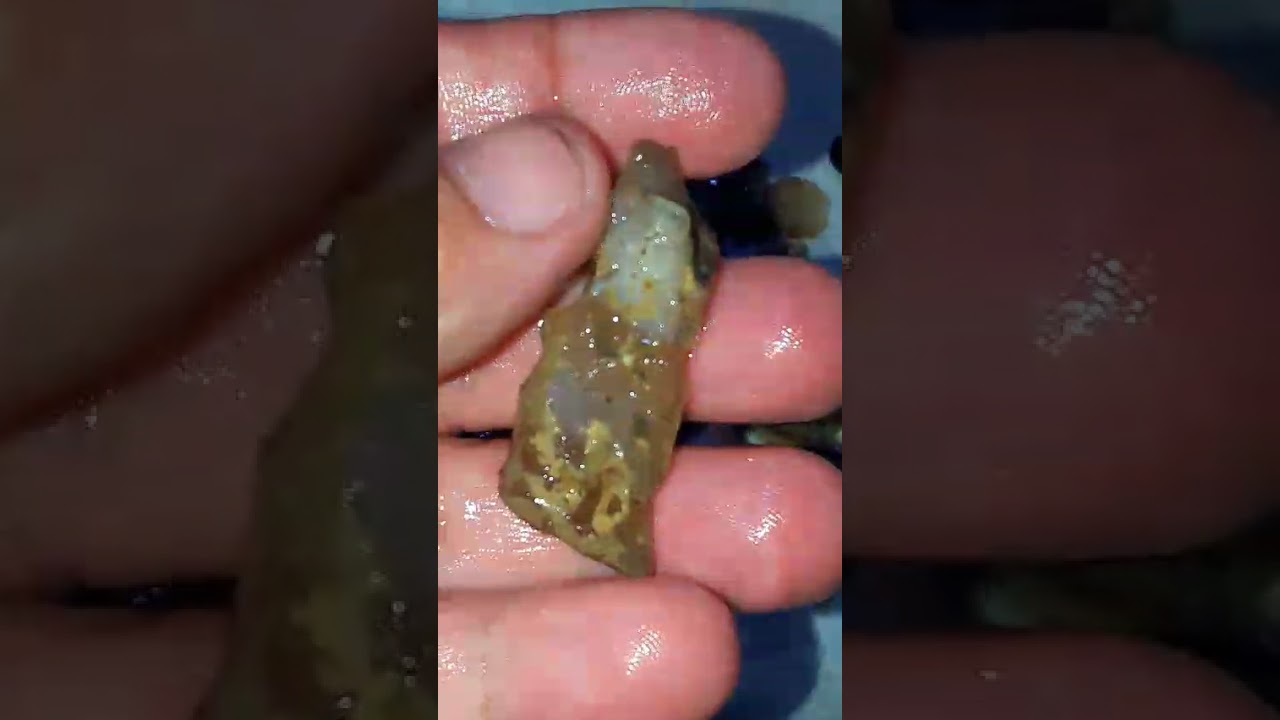 Opalan kalimaya kecil2 campur 100 aja