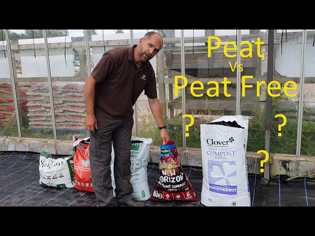 Peat Vs Peat Free Composts - Part 2 - The key to success? class=