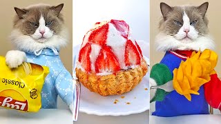 El Mejor Gato Chef de Tik Tok - That Little Puff ASMR compilation 08 by TiktokDor 157,164 views 1 year ago 7 minutes, 30 seconds