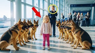 14 Polizeihunde Umzingeln Kleines Mädchen am Flughafen – Was Dann Geschah, Schockierte Alle!