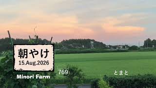 【15.Aug.2026】２～３日前　恵の雨と、茨城に上陸した台風