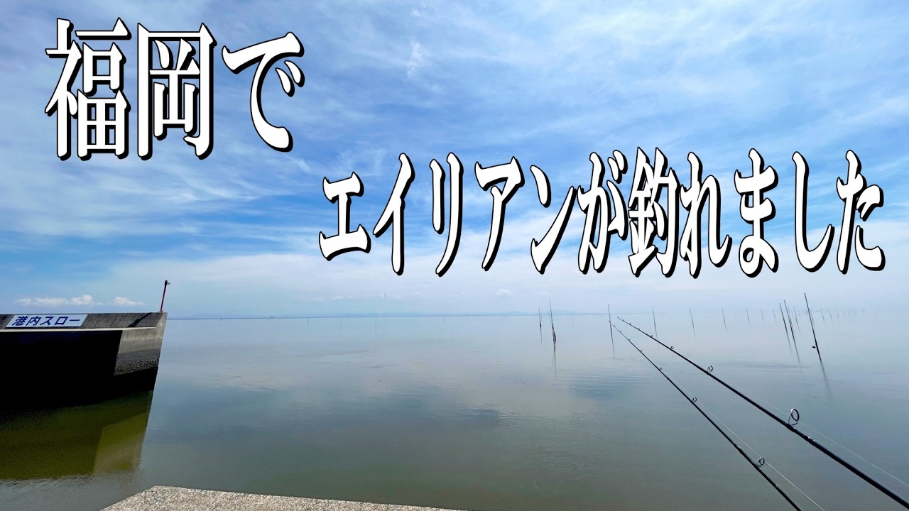 ムツゴロウが大行進する特殊な海でちょい投げ釣りをした結果