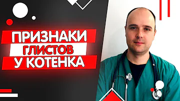 Как понять что у котенка глисты, основные признаки и симптомы
