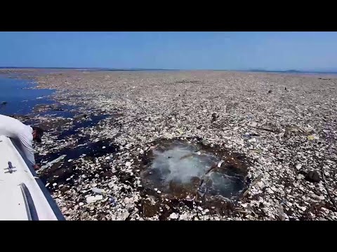 As imagens que mostram o gigantesco mar de lixo no Caribe