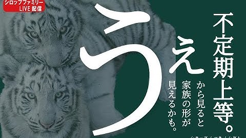 「12月5日後半」上からシロップファミリーライブ配信