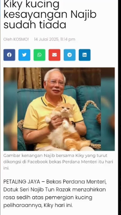 Info Tokoh.|Kucing Kesayangan Dah Tiada.
