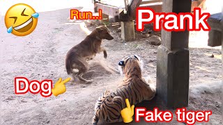 Prank dogs try not laugh very funny haha.