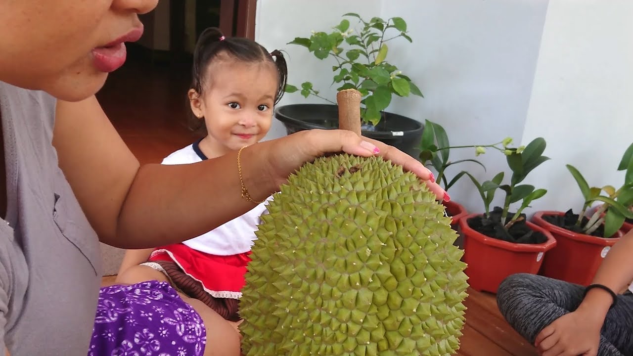 Reaksi Balita Lucu Makan Duren Kids Try Eat Durian Fruit Youtube