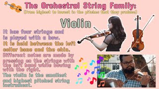 💟 (MUSIC) What are the Orchestral String Instruments? | #iQuestionPH