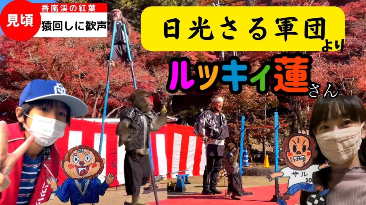 香嵐渓 日光さる軍団のかわいい猿回しパフォーマンス Youtube