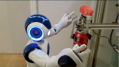 Integration of the Humanoid Robot Nao inside a Smart Home