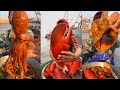 Fishermen Eat Seafood #6 🦀🦐 Eating Addiction