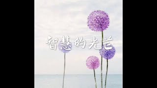 201801 智慧的光芒40559
