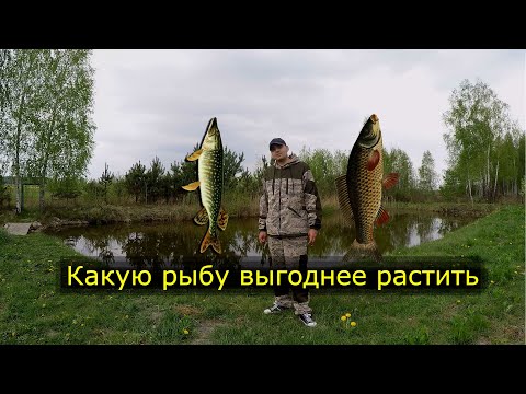 Video: Neidentifikovaná „chlpatá“ryba Bola Ulovená V Ukrajinskej Rieke Desna - Alternatívny Pohľad