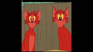 توم وجيري Tom and Jerry
