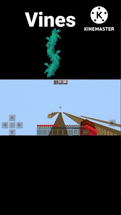minecraft-how-many-blocks-can-you-survive-minecraft-dream-short
