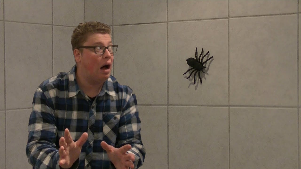 Wat te doen met een spin...??