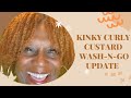 Kinky Curly Custard Wash N Go Update