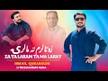 Za Ta Laram Ta Ma Laray زہ تا لرم تہ مالری Ismail Qarabaghi Pashto New Song 2025 HD Video 