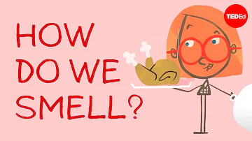 How do we smell? - Rose Eveleth