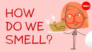 How do we smell? - Rose Eveleth