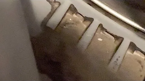 How to remove mold from washing machine rubber door seal (eliminate mold, bad smell and stains)