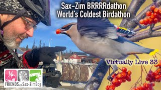 World&#39;s Coldest Birdathon--Sax-Zim Bog XC Skiing Virtually Live 33 S3E8