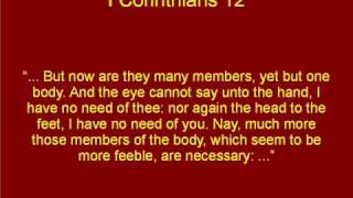 Doctrine According to Godliness: The Unity of the Church - 236