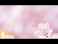 自律神経を整える音楽【神経を落ち着かせる静かな穏やかな曲】癒しのリラックスBGM♪ヒーリングミュージック｜Original Relaxation Music Video ★145
