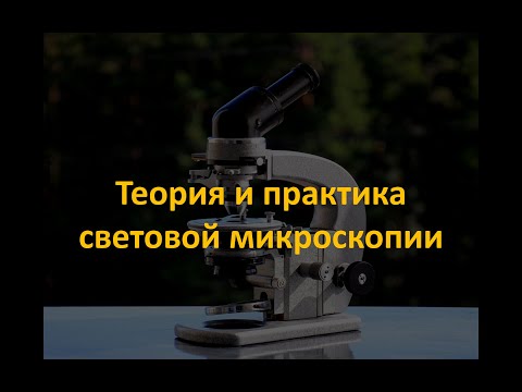 Теория световой микроскопии. Часть 1/4