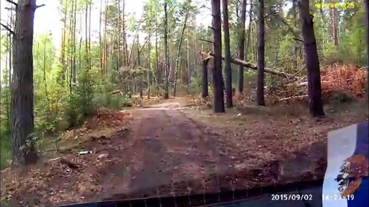 Буреломами край бурановый под охраною слушать. Козьи горы Смоленск. Санаторий козьи горы Смоленск. Овсище - Козья гора. Человек портит в лес