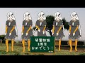 紲星あかりからのサプライズ動画