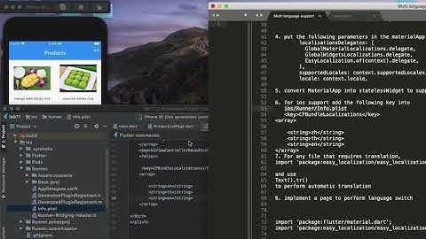 flutter multiple language translation