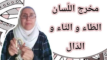 تعلم التجويد مع تجويد المجيد : مخرج اللّسان ( الطاء و التاء و الدال )