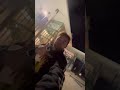 Last Night on Campus