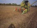 Молотіння сої Claas Compact