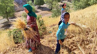 Unforgettable experience: Angel and his family going to the farm and harvesting crops