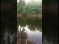 My stupid fucking idiot son, [NAME REDACTED] catches a stupid fucking tiny ass catfish