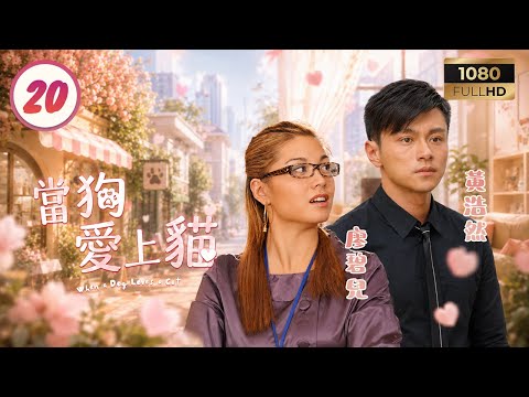 TVB時裝喜劇 | 當狗愛上貓 20/20 | 羅嘉良(苗隼)病逝眾人哀悼，曾華倩(水天蘭)懷孕與沾和好 | 羅嘉良 | 胡杏兒 | 呂方 | 曾華倩 | 粵語中字 | 2008