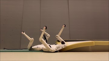 20191107 Quadruped Robot Solo - Box Jump Fail