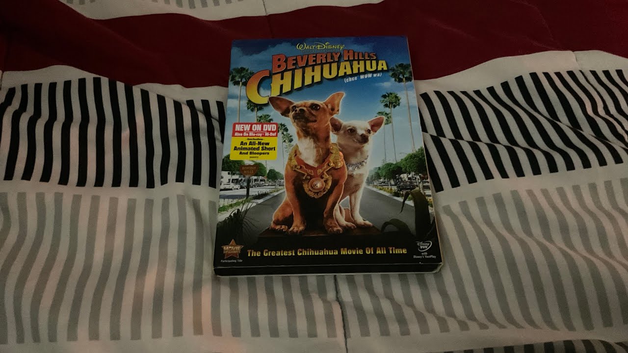 Opening to Beverly Hills Chihuahua 2009 DVD (Main Menu option/Widescreen version)