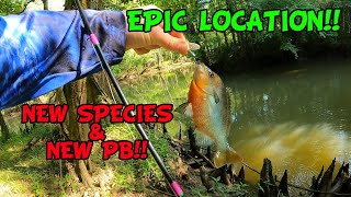 EPIC Francis Marion National Forest Fishing Trip!! (NEW Species!!! NEW PB!!!! INCREDIBLE LOCATION!!)