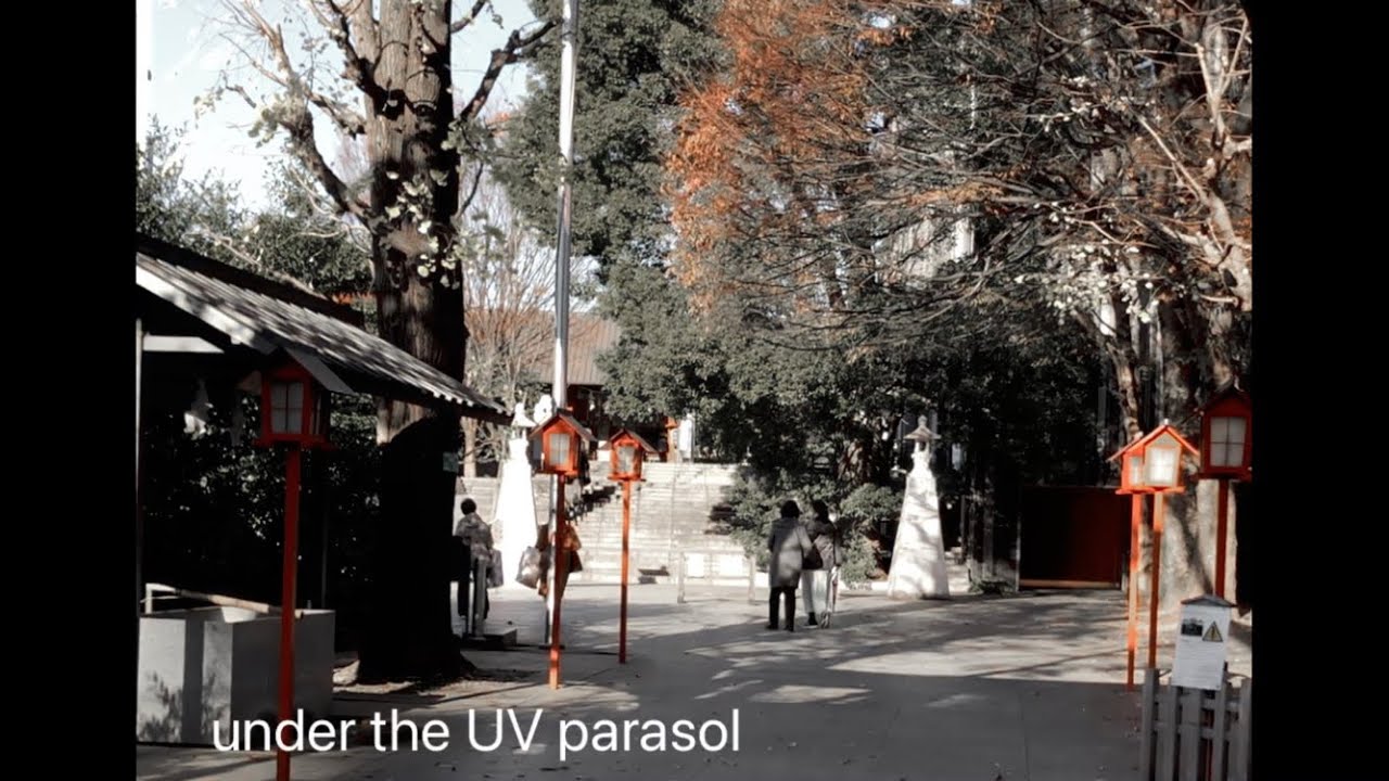 ヘイマさん編曲【オリジナル曲】黒いパラソルの下で【Fukase(VOCALOID)】