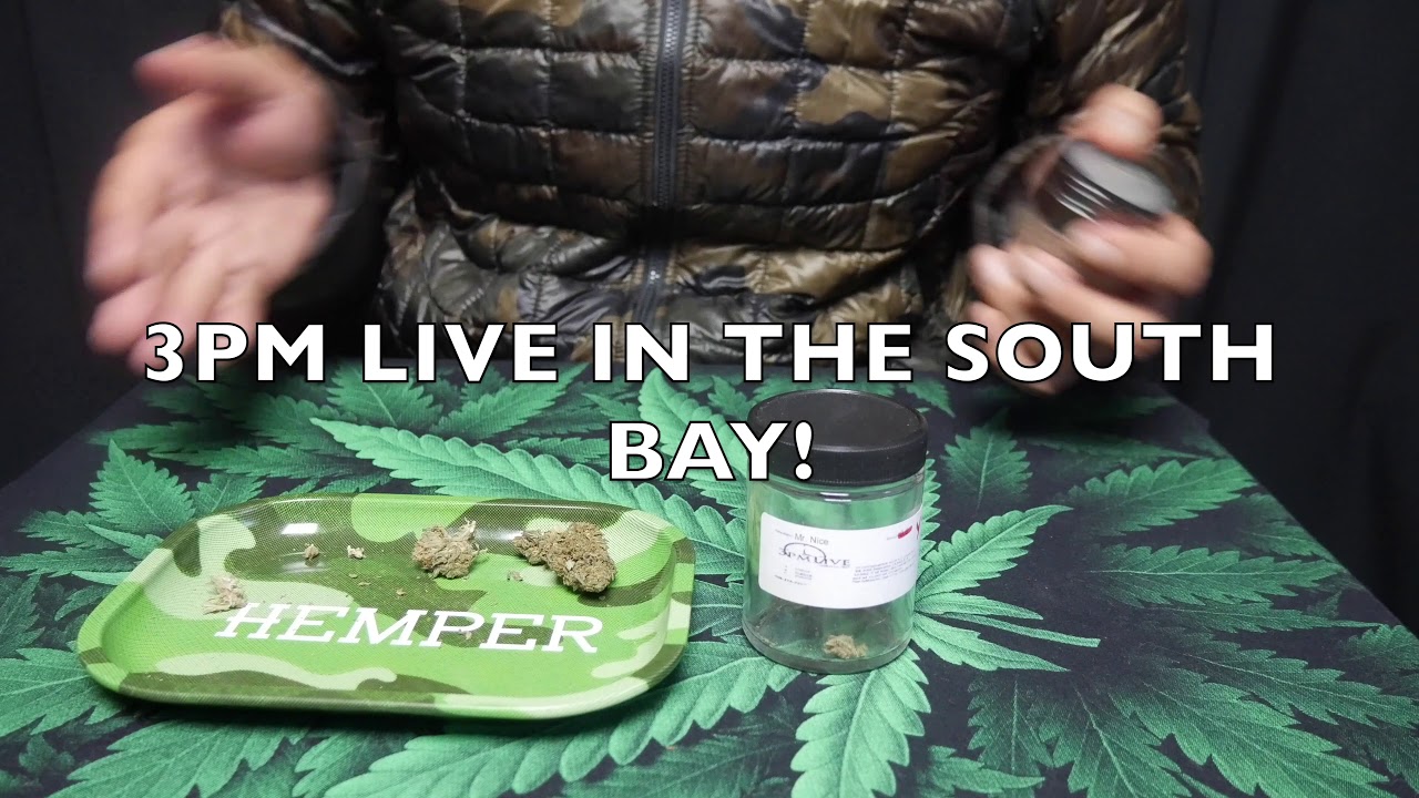 Mr. Nice - LEGENDARY Strain Review