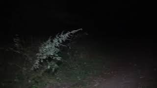 Hoia Baciu Part 1