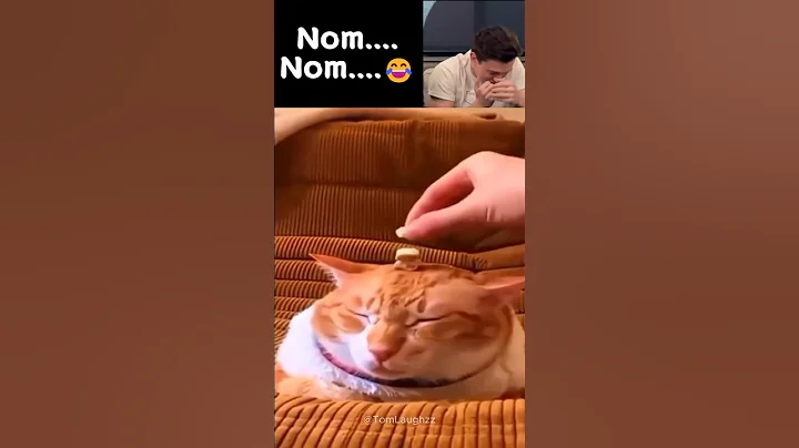 Tom Holland Laughs to Viral Videos Part 1 #tomholland #funny #trynottolaugh #reaction