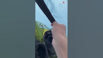 Man opens his tent to find an Elk standing right outside of it *Hilarious Happening* || WooGlobe