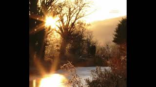 Jimmy Behan - Through The Trees (The Echo Garden 2009)